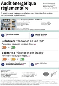 Exemple-Audit-Energetique-Reglementaire-706x1024